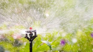 6 signs your commercial landscape irrigation system is faulty