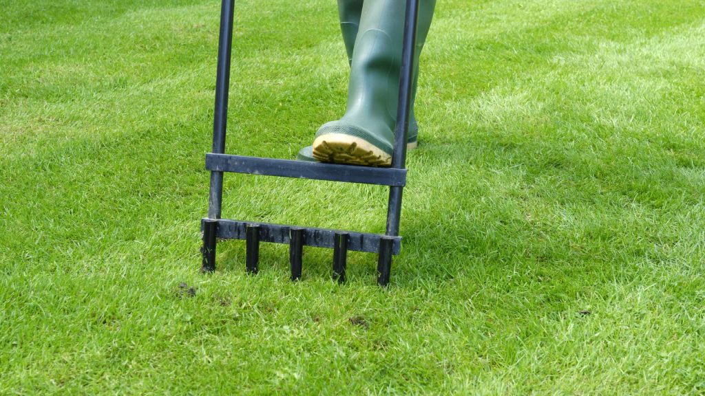 lawn aeration 101 when and how to get it done