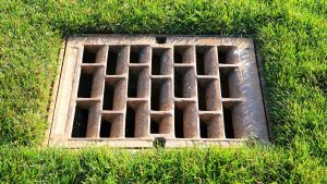 common indicators of poor lawn drainage and their implications