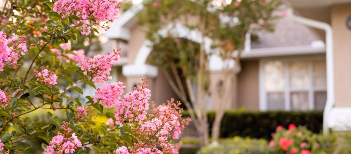 7 landscaping principles for florida garden to thrive