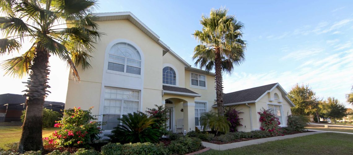 tree selection guide for florida homeowners